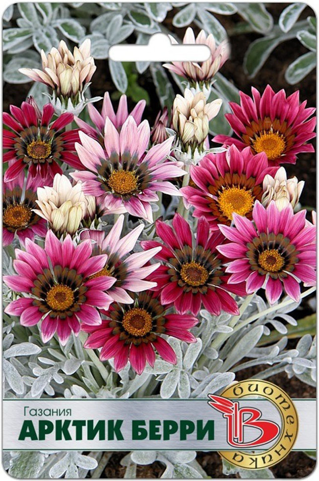 

Семена Биотехника 38087-Биотех Газания Арктик Берри 0,01г