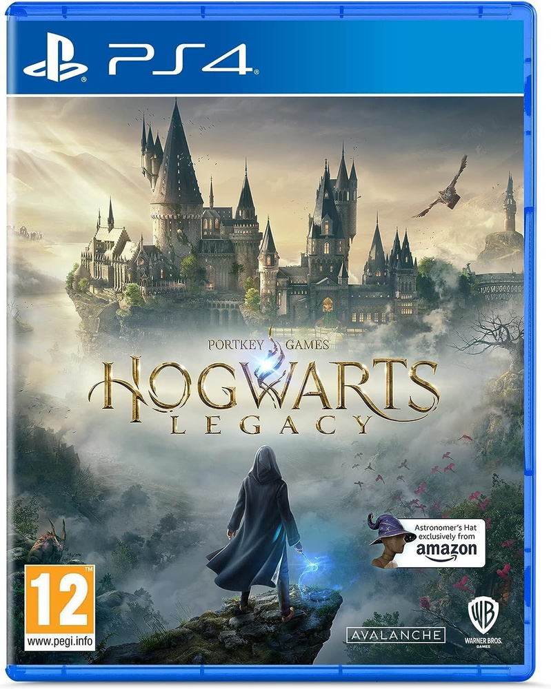 

Игра Hogwarts Legacy (PlayStation 4, русские субтитры), Hogwarts Legacy