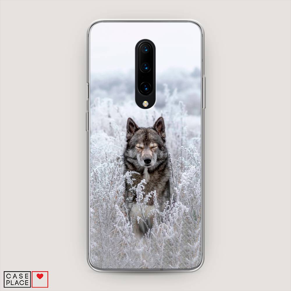 фото Чехол awog "волк в поле" для oneplus 8