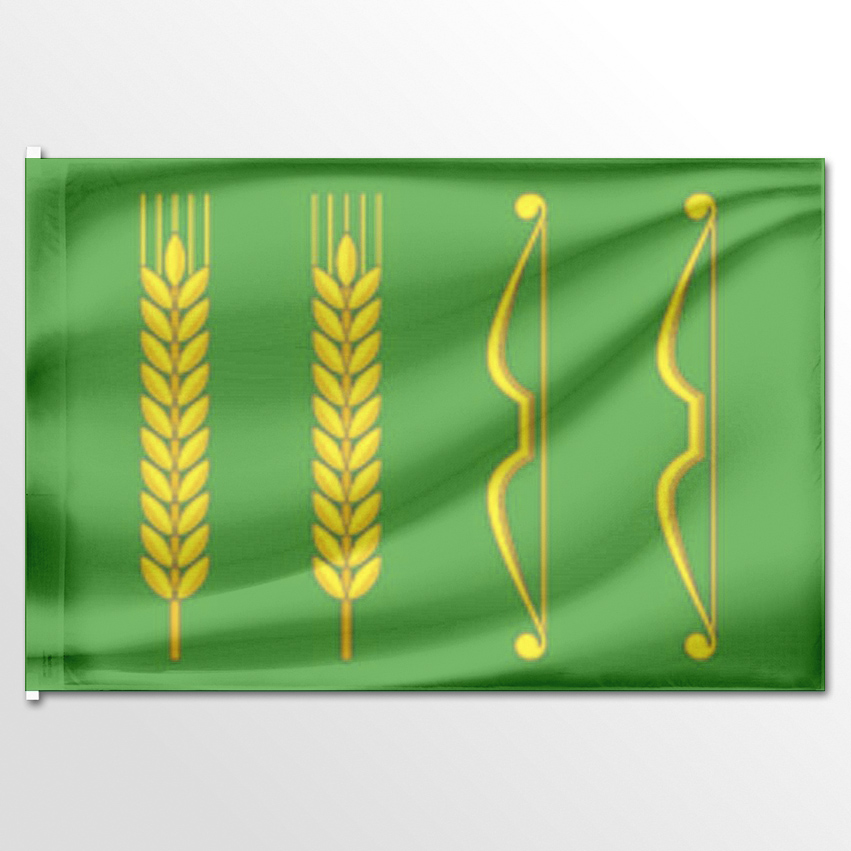 

Флаг ЦТП ФЕНИКС Губарёвского сельского поселения 135x90 см, 1275-135x90