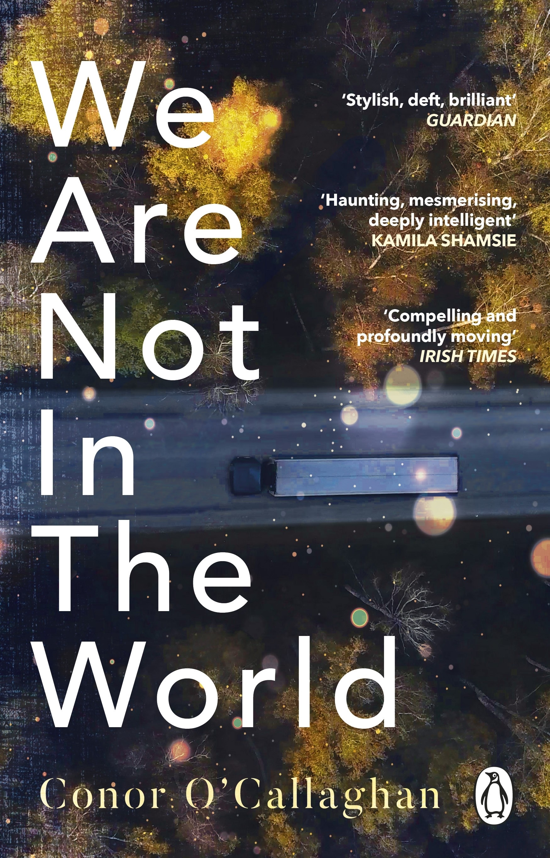 

We Are Not in the World