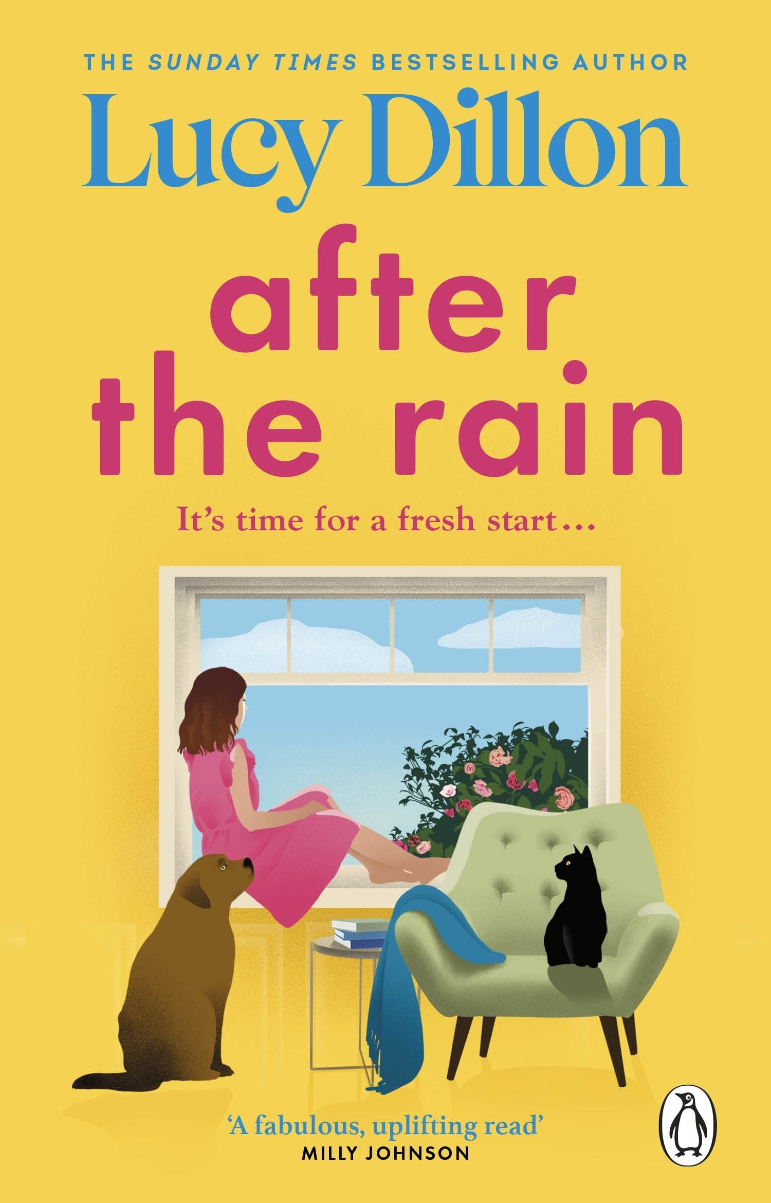 

After the Rain