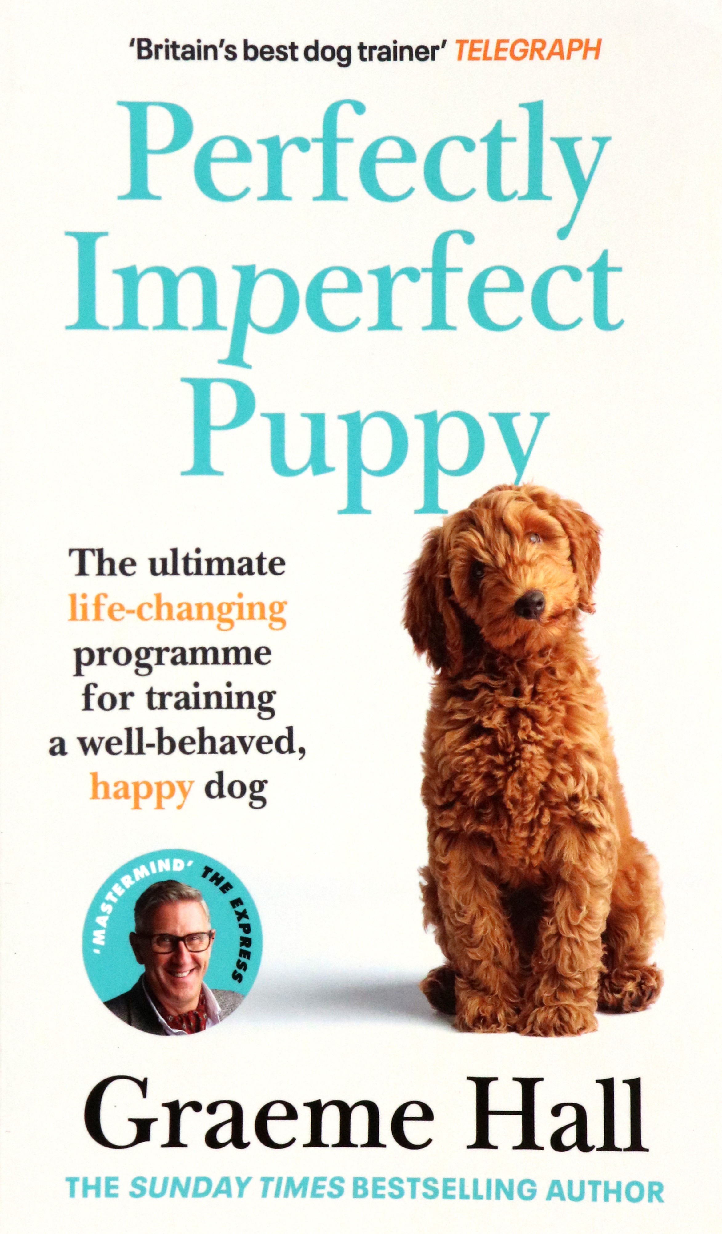 

Perfectly Imperfect Puppy