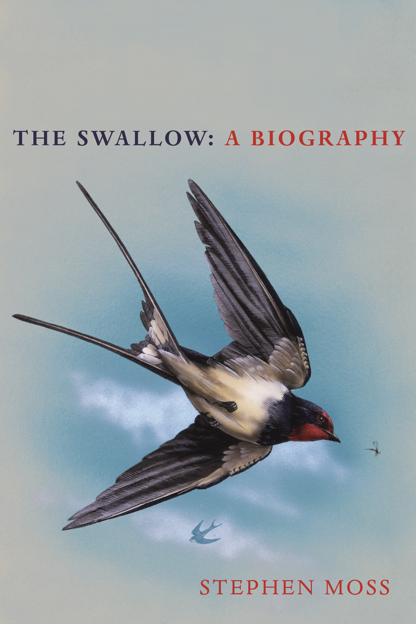 

The Swallow A Biography