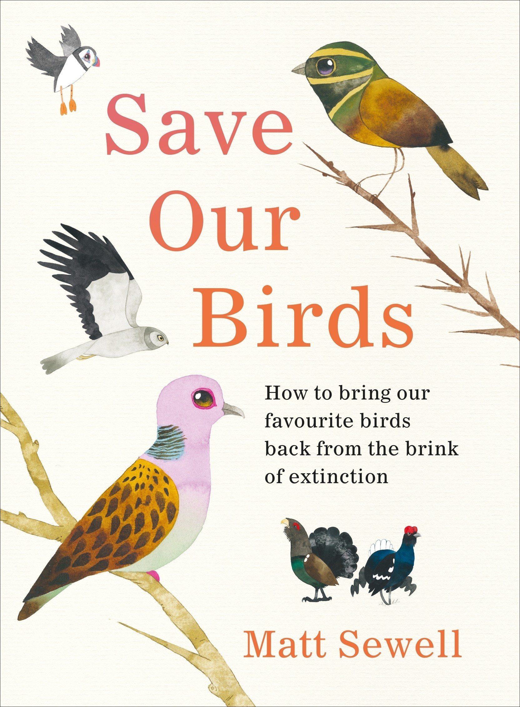 

Save Our Birds How to bring our favourite birds back from the brink of extinction