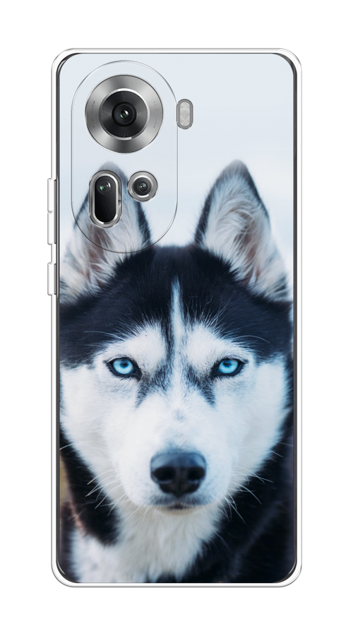 

Чехол на Oppo Reno 11 (Global) "Хаски 2", Синий;белый, 2515850-1