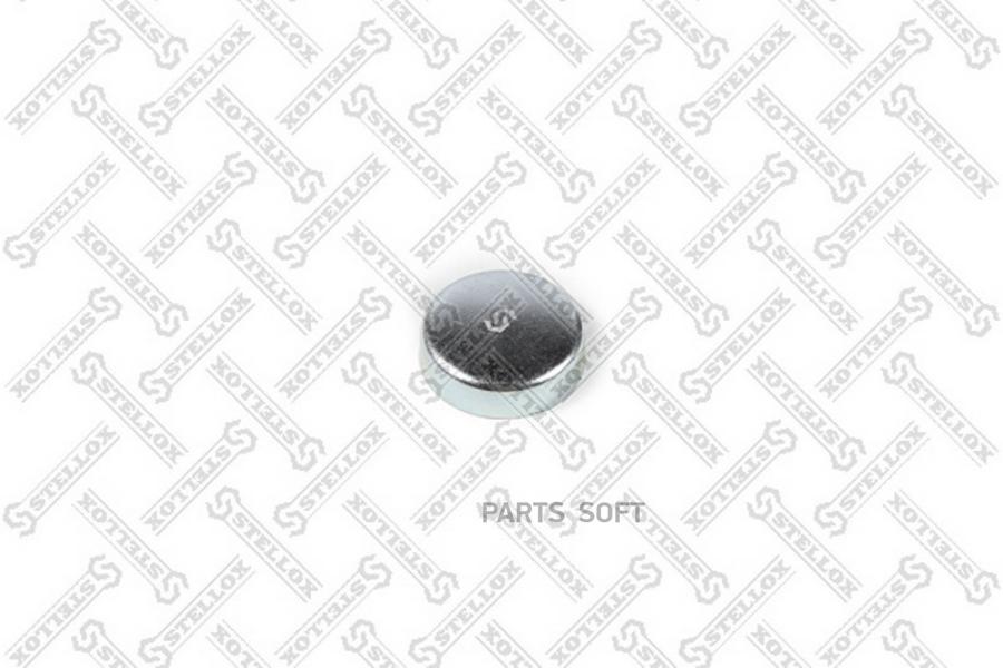 

Заглушка блока цилиндров! 02543, D=34mm MB W123/W124 <93/Vito/Viano/Vario 96>