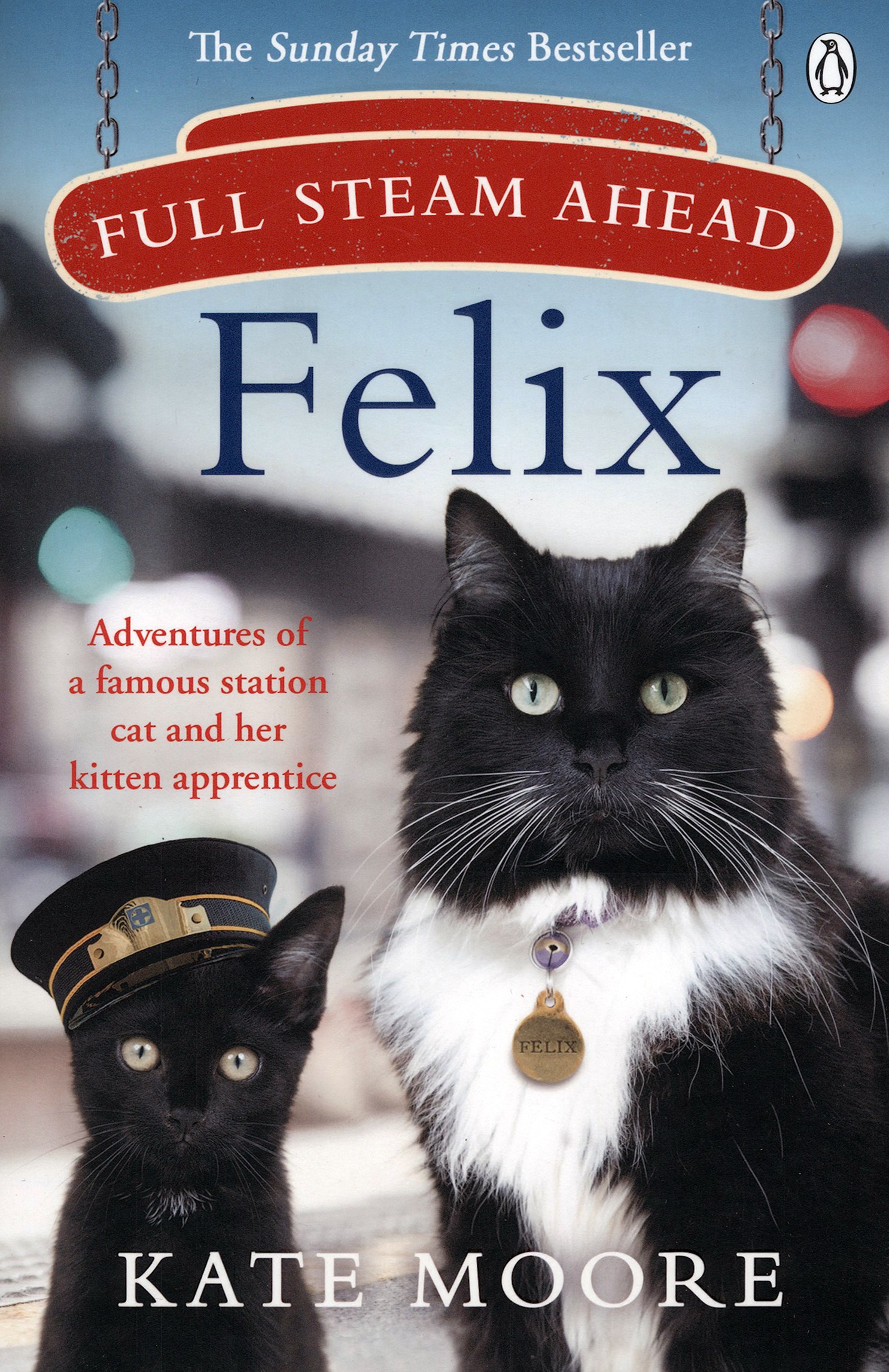 

Full Steam Ahead, Felix Adventures of a famous station cat and her kitten apprentice