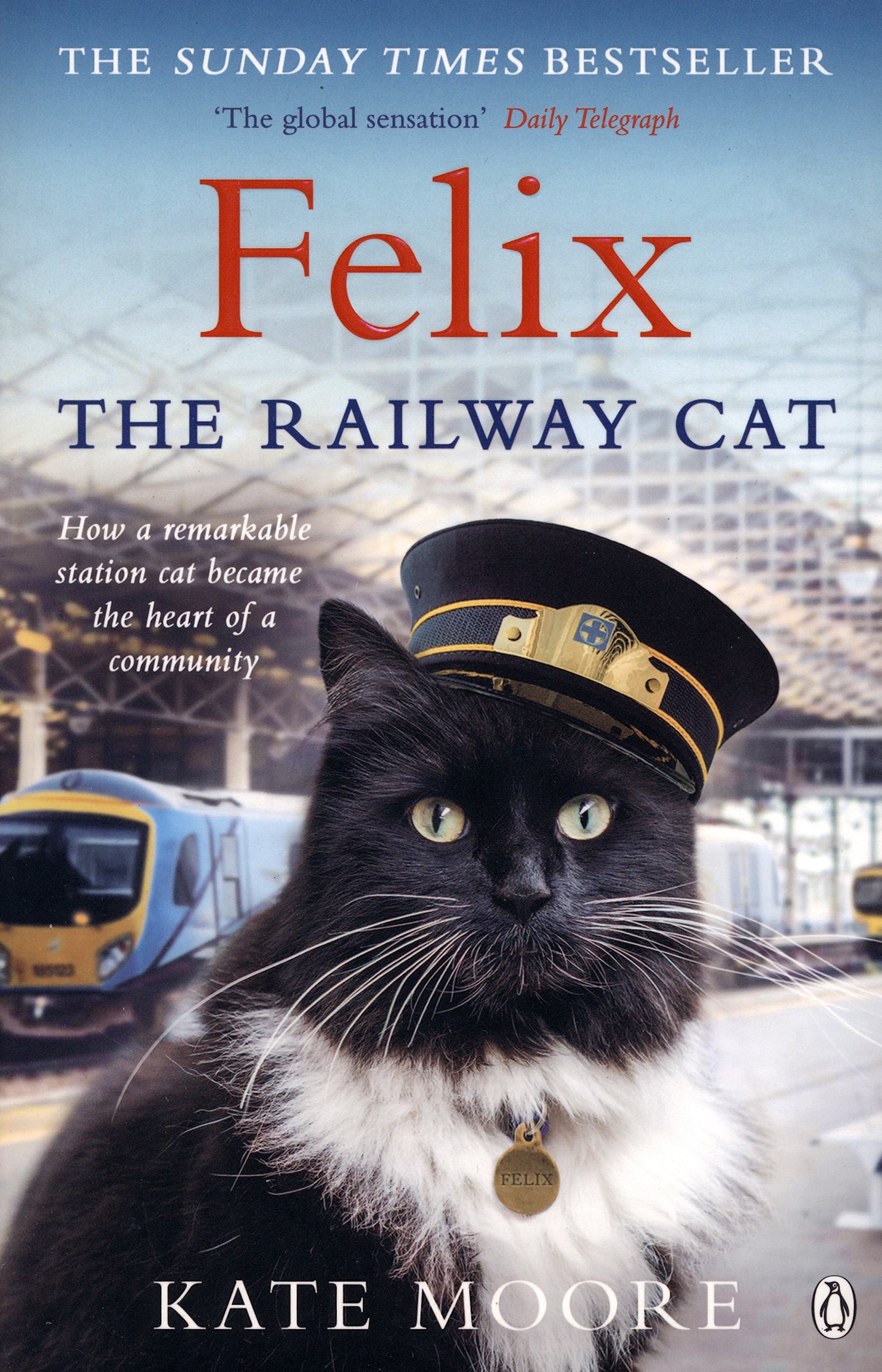 

Felix the Railway Cat