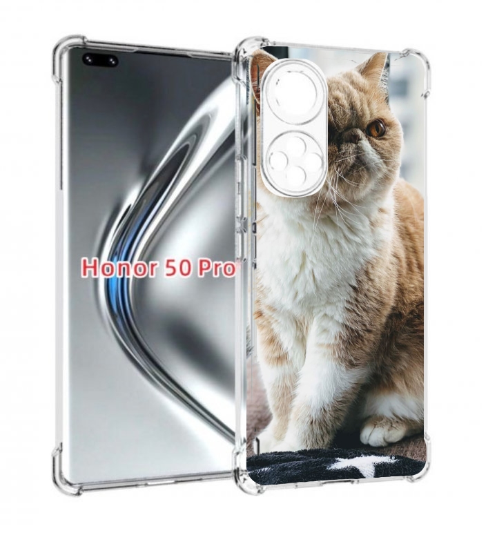 

Чехол бампер MyPads кошка экзот для Honor 50 Pro/Nova 9 P, Прозрачный, Tocco