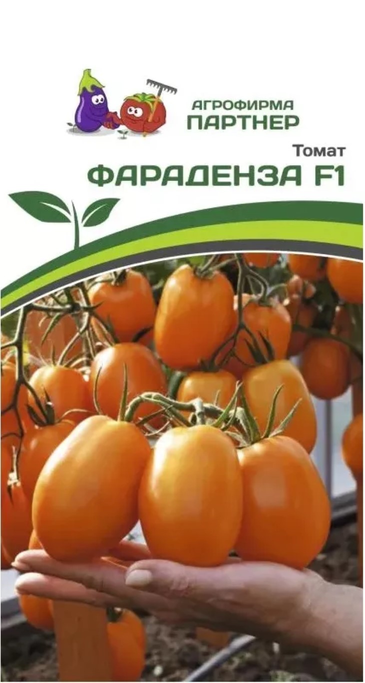 

Семена томат Фараденза RACO 16404 1 уп.