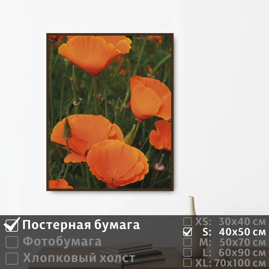 

Постер на стену ПолиЦентр Летние оранжевые маки 40х50 см, ЛетниеОранжевыеМаки