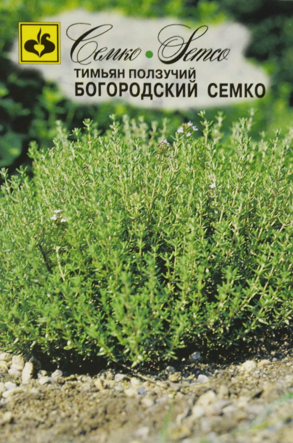 

Семена тимьян Богородский Семко 6944 1 уп.