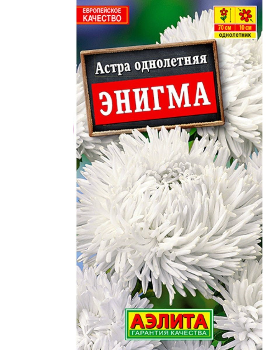 

Семена астра энигма Аэлита 2459 1 уп.