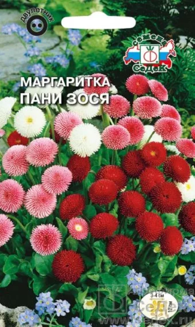 

Семена маргаритка Пани Зося СеДеК 1688 1 уп.