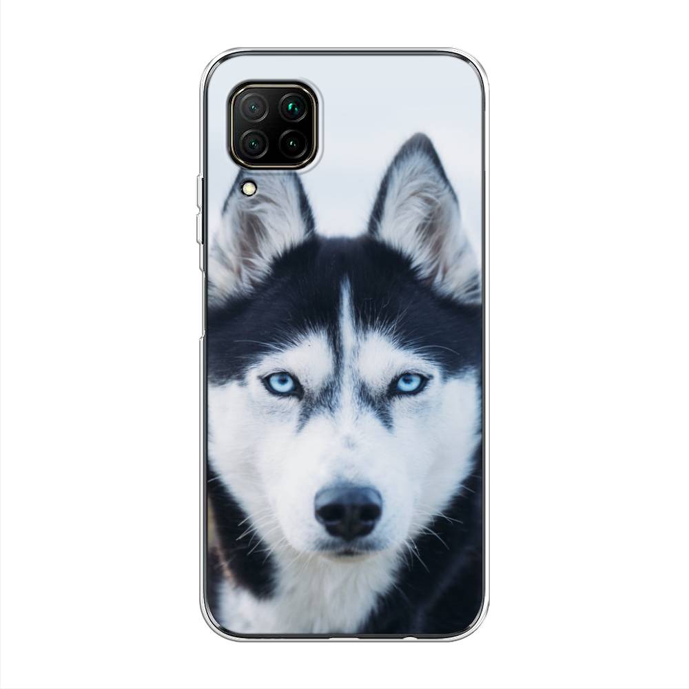 

Чехол на Huawei Nova 6 SE "Хаски 2", Синий;белый, 611750-1
