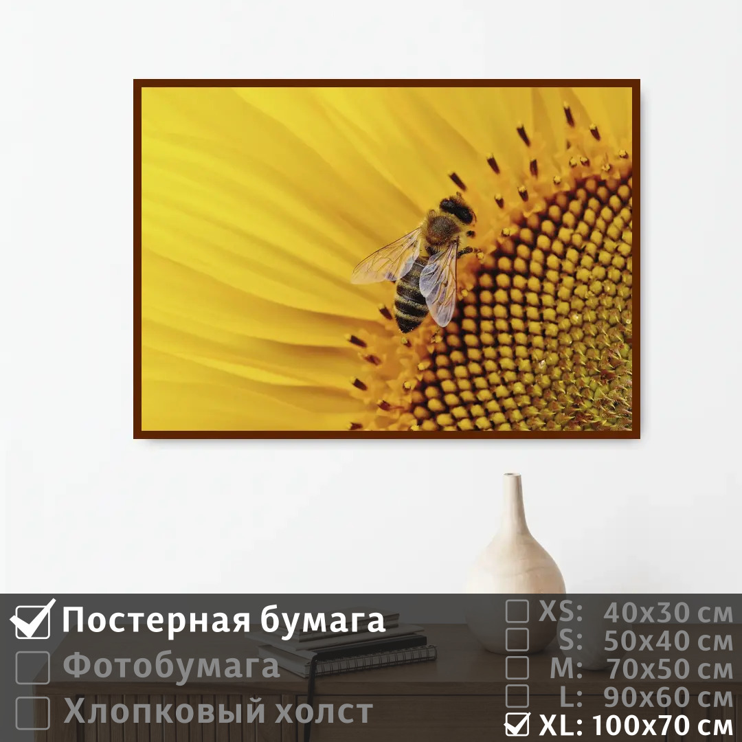 

Постер на стену ПолиЦентр Пчела в подсолнухе 100х70 см, ПчелаВПодсолнухе1