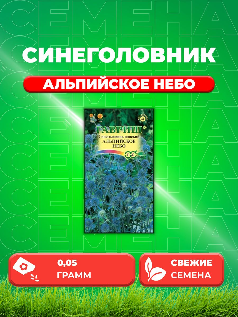 

Семена Синеголовник Альпийское небо, 0,05г