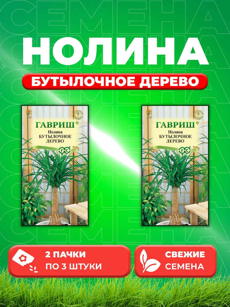 

Семена Нолина Бутылочное дерево, 3шт, 2уп