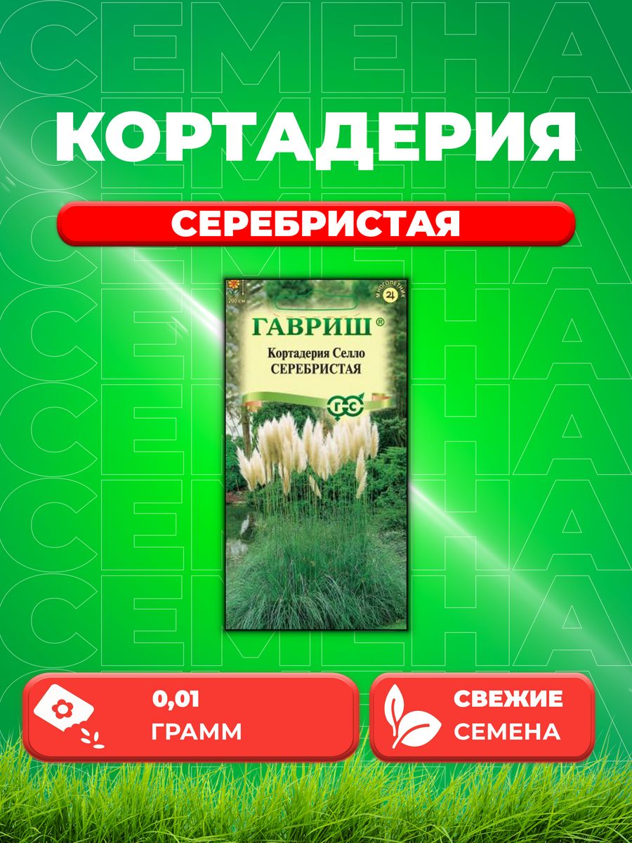 

Семена Кортадерия Пампасная трава серебристая, 0,01г