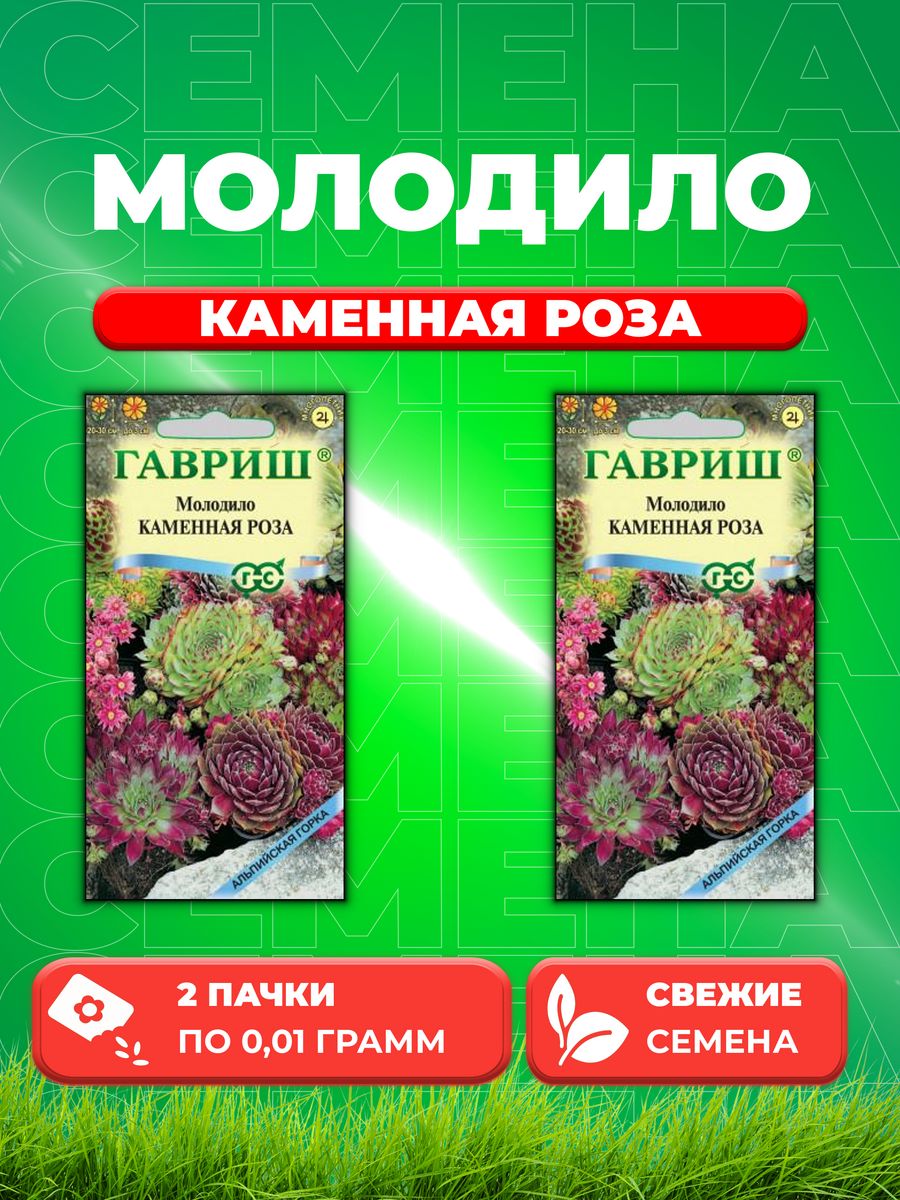 

Семена Молодило Каменная Роза 0,01г, Гавриш Альпийская горка 2уп