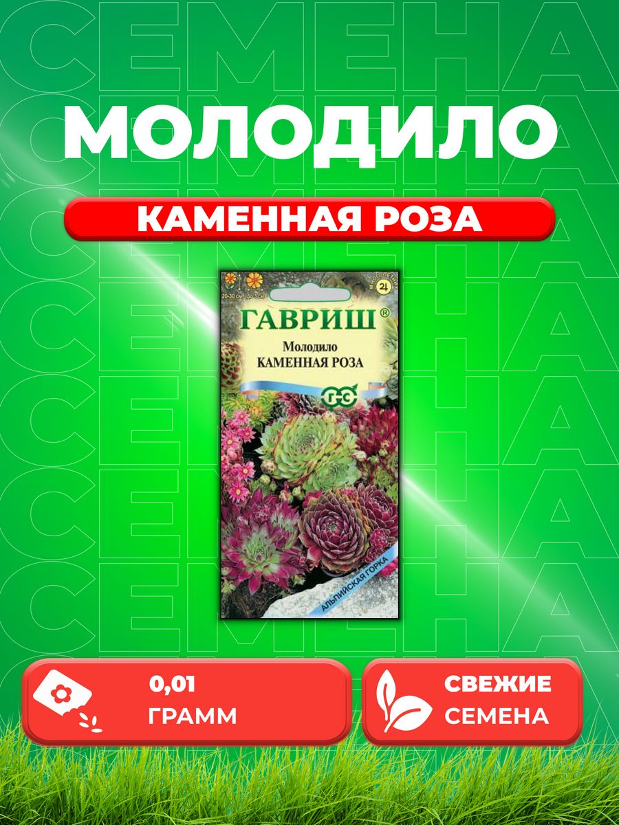 

Семена Молодило Каменная Роза 0,01г, Гавриш Альпийская горка