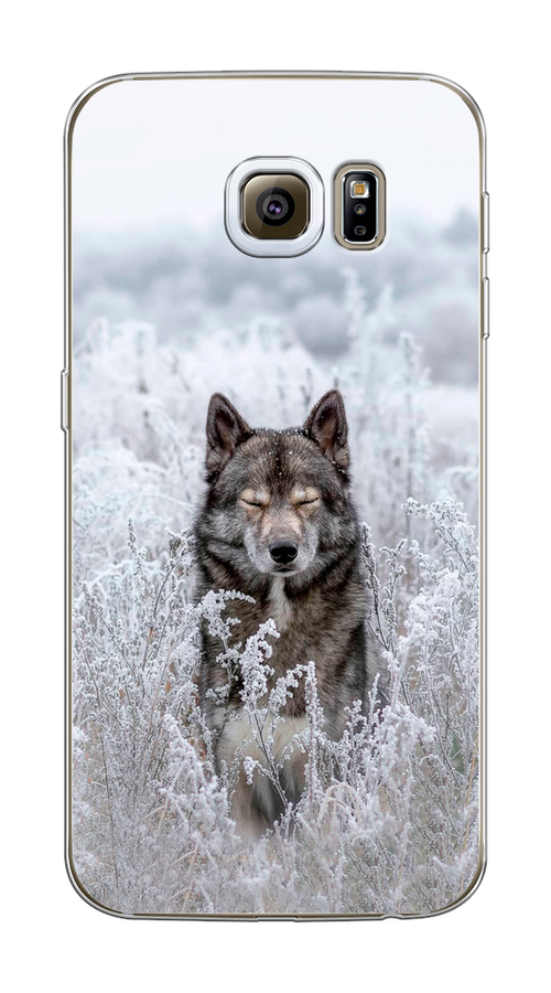 

Чехол Awog на Samsung Galaxy S6 edge "Волк в поле", Белый;черный, 24450-1