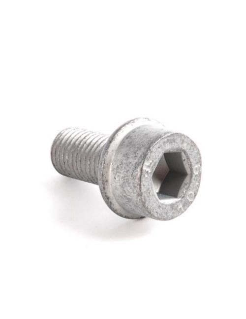 

VAG N90688902 Болт крепежный суппорта M10X1.25X20 внутр шестигранник VAG: с-мы LUCAS/TRW
