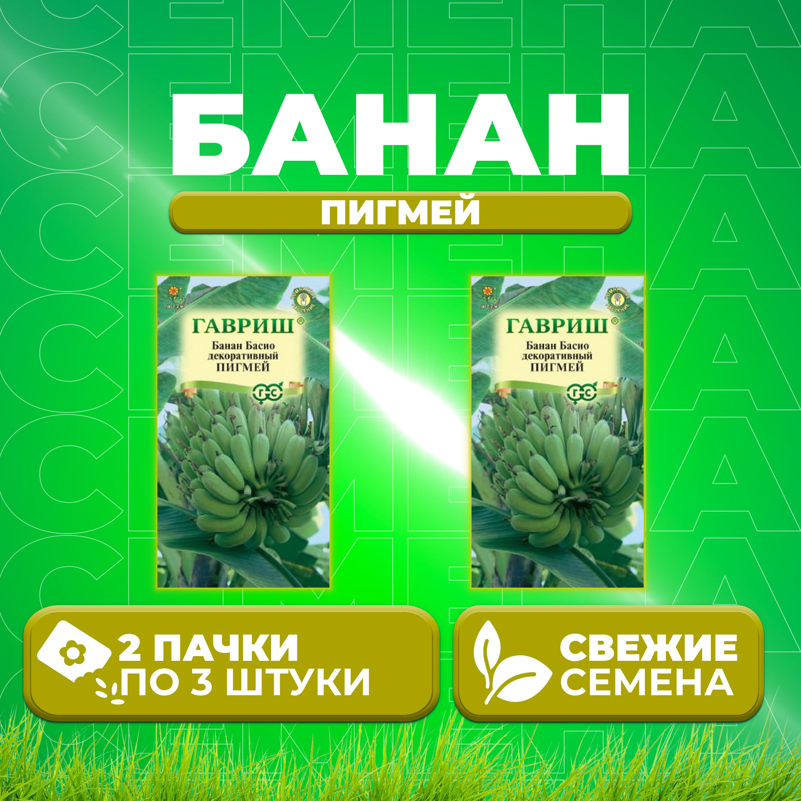 

Семена Банан Басио декоративный Пигмей, 3шт, Гавриш, Цветочная коллекция 2 уп