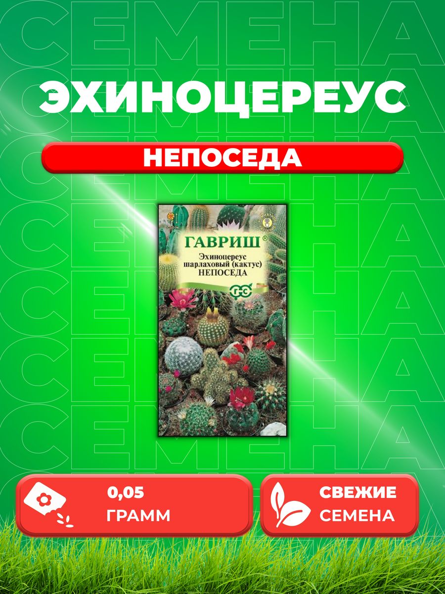 

Семена Кактус Непоседа, Эхиноцереус,* смесь 0,05 г