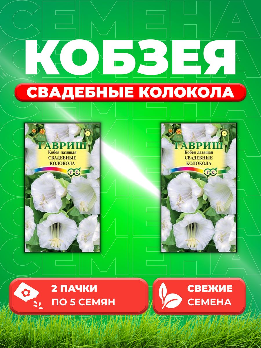

Семена Кобея лазящая Свадебные колокола 5 шт. 2уп