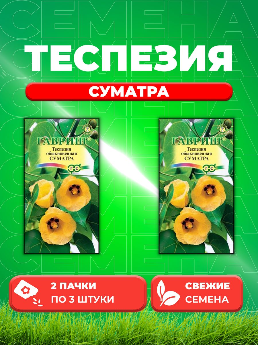 

Семена Теспезия Суматра 3 шт. 2уп