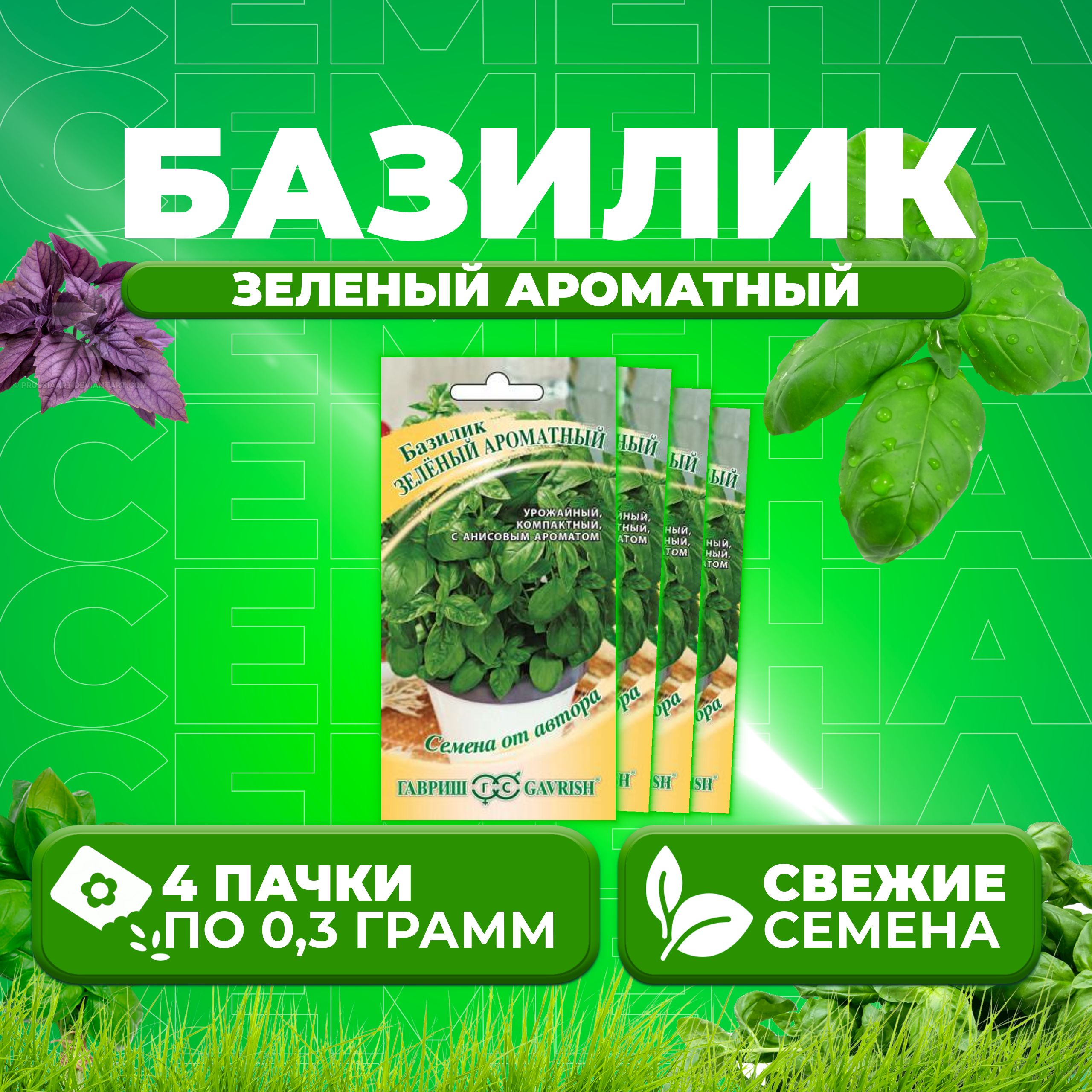

Семена Базилик Зеленый ароматный, 0,3г, Гавриш, от автора 4 уп