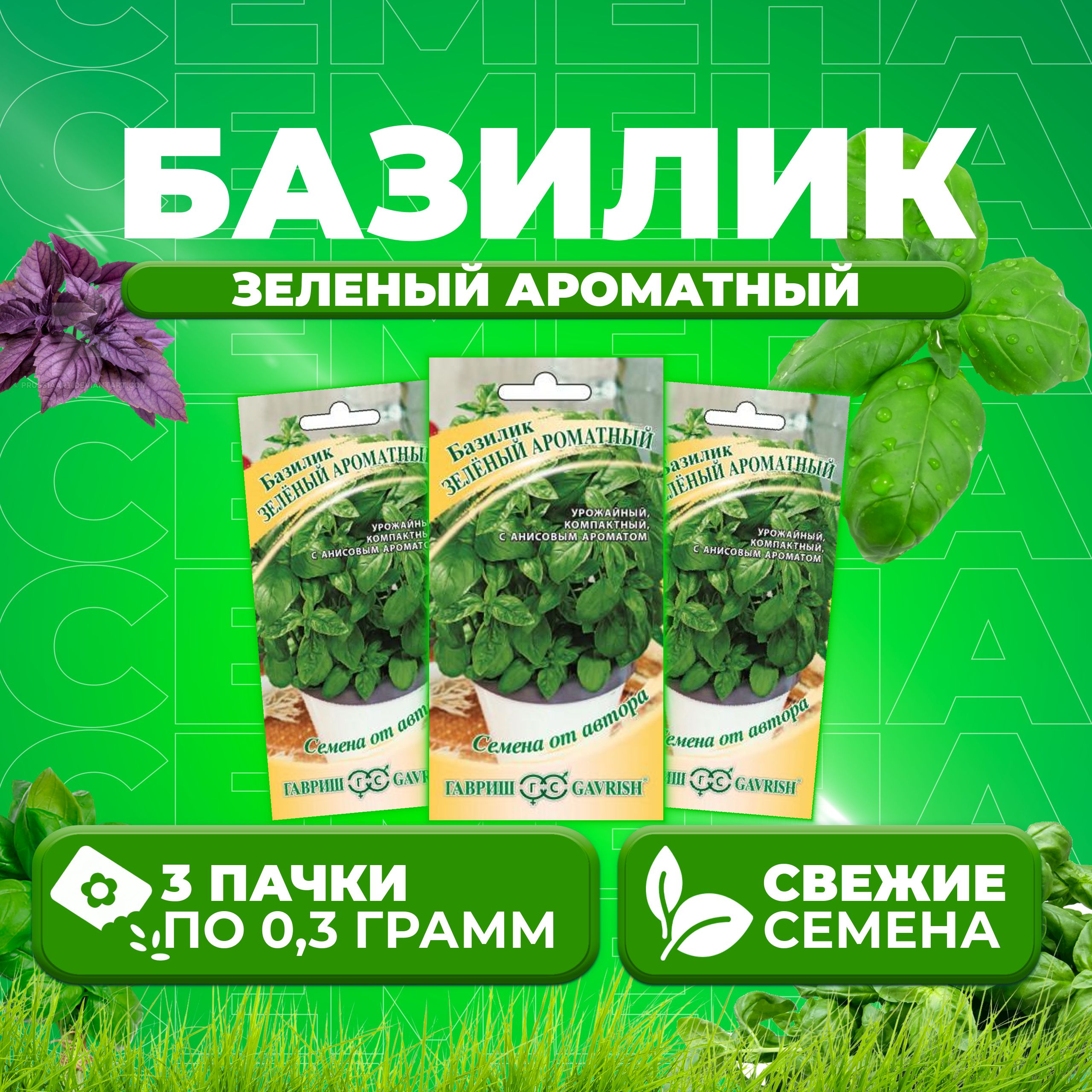 

Семена Базилик Зеленый ароматный, 0,3г, Гавриш, от автора 3 уп