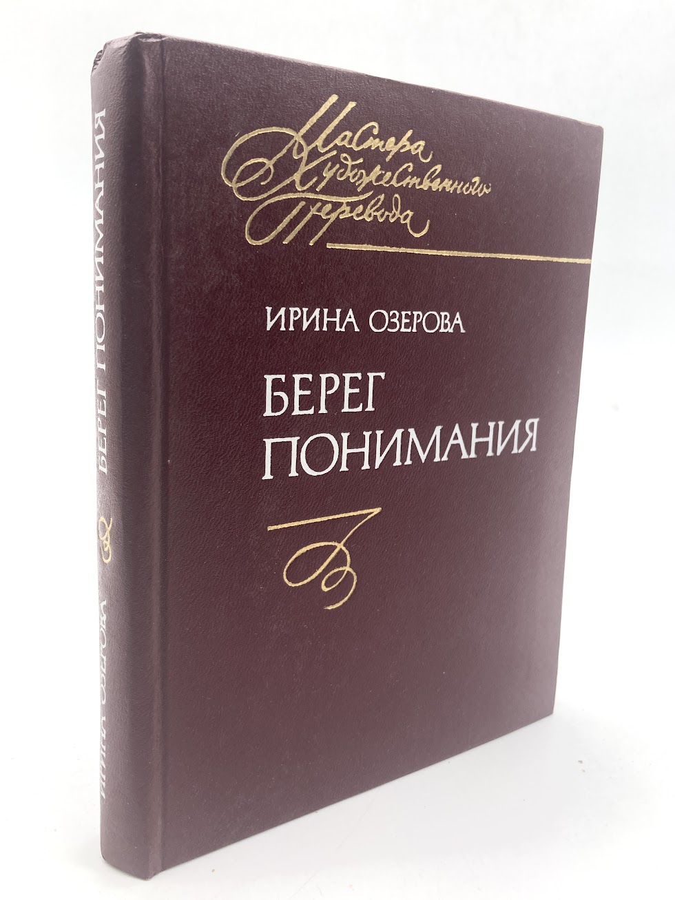 

Книга Берег понимания