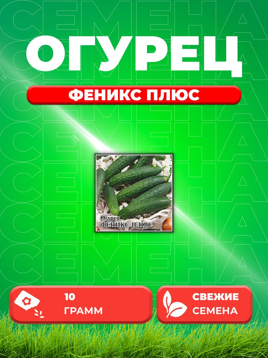 

Семена огурец Феникс плюс Гавриш 2000599-1 1 уп.