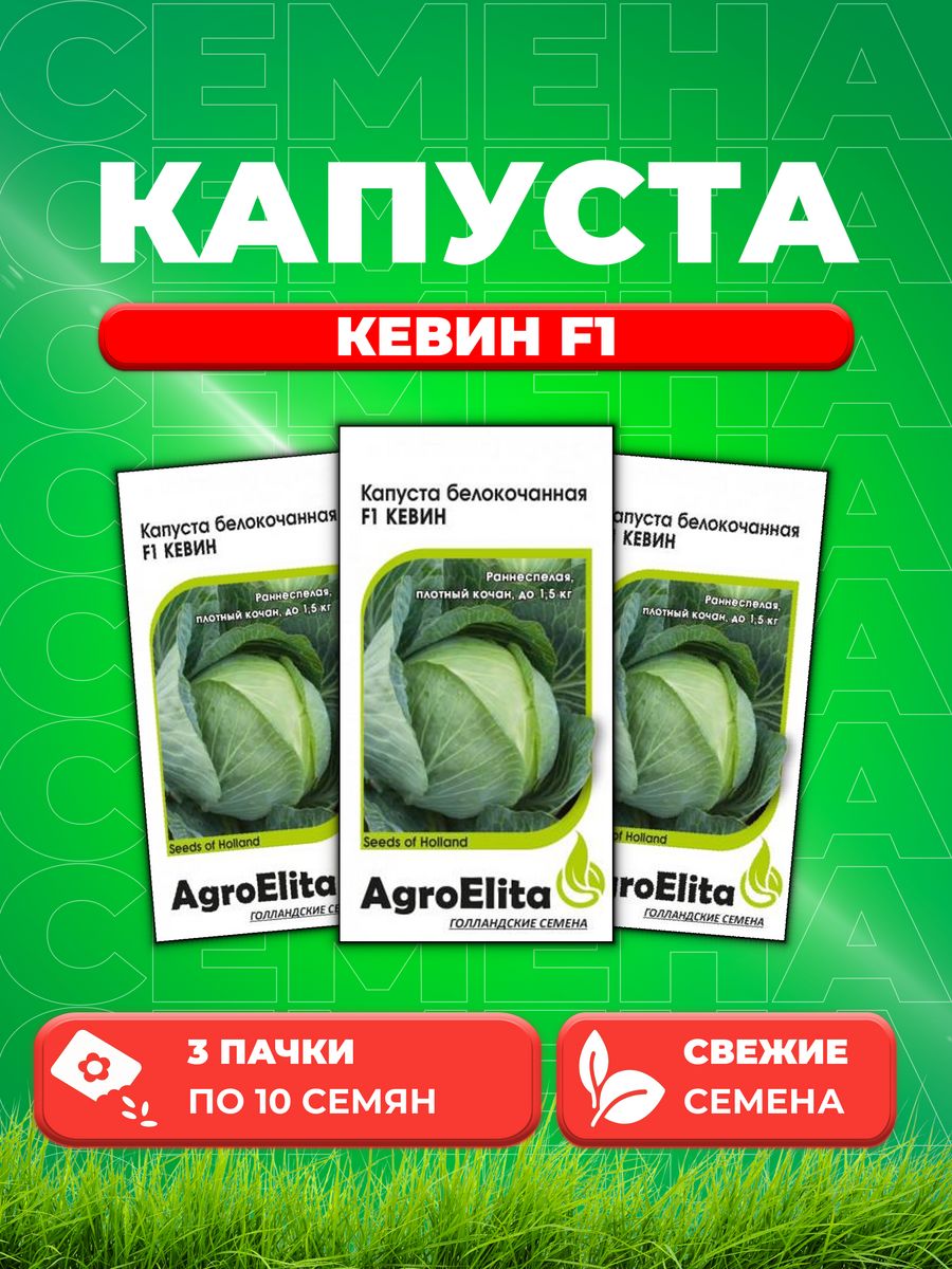 

Семена капуста белокочанная Кевин F1 AgroElita 1999950103-3 3 уп.