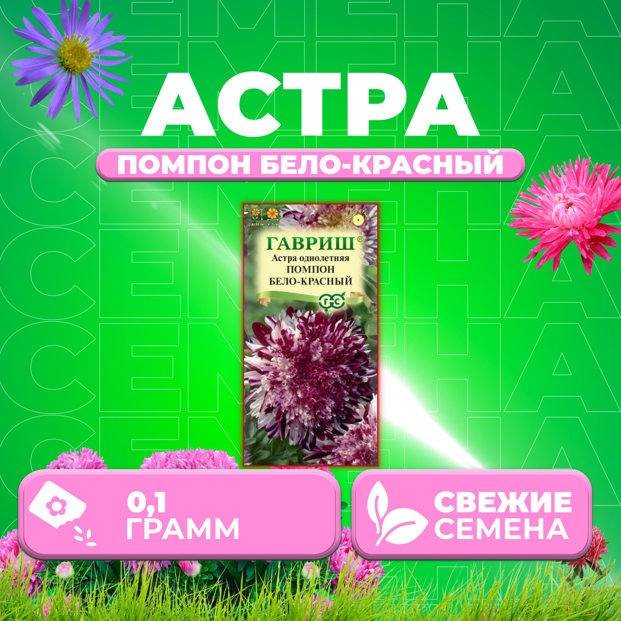 

Семена Астра Помпон бело-красный, 0,1г, Гавриш, Цветочная коллекция 1 уп