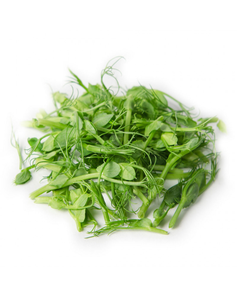 

Проростки гороха Evergreen 100 г