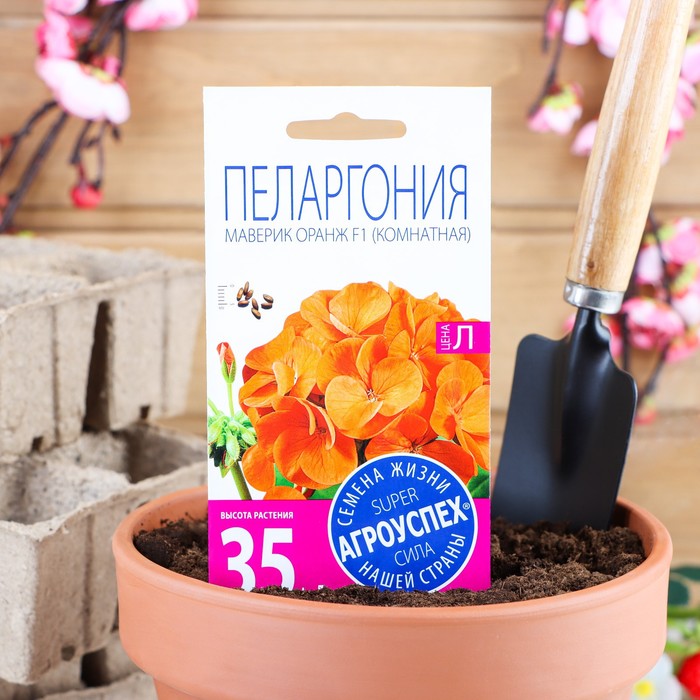 

Семена комнатных цветов Пеларгония "Oранж", 4 шт.