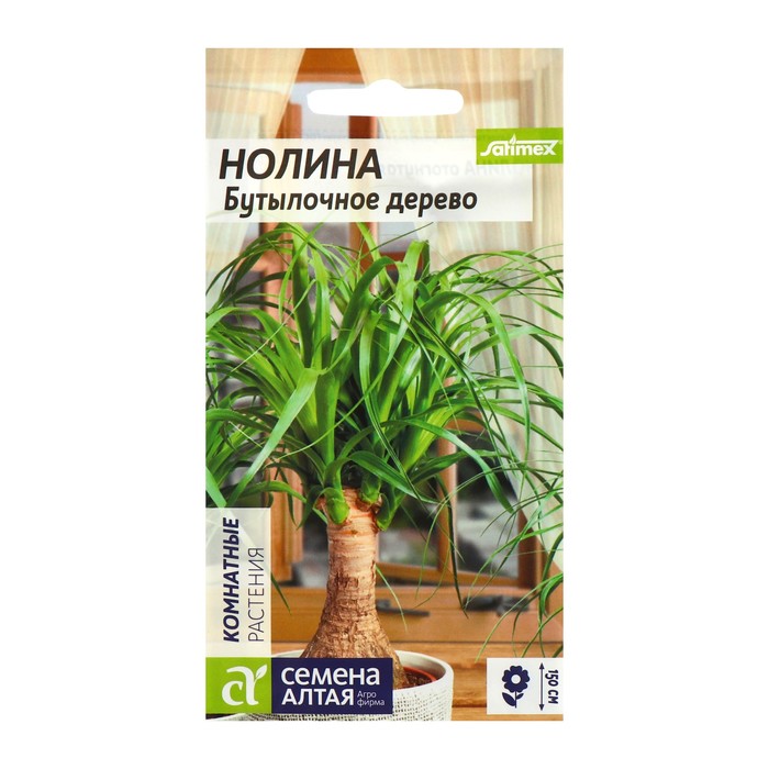 

Семена комнатных цветов Нолина "Бутылочное дерево", 3 шт. (2 шт.)