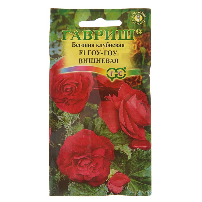

Семена комнатных цветов Бегония "Гоу-гоу", вишневая, F1, 4 шт. (2 шт.)