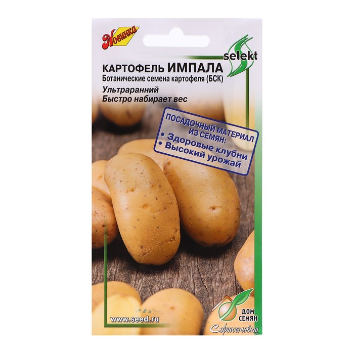 

Семена Картофель "Импала", 25 шт