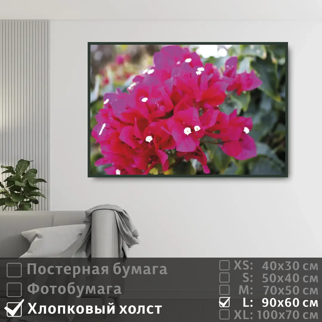 

Постер на холсте ПолиЦентр Ветка нежной бугенвиллии 90х60 см, ВеткаНежнойБугенвиллии