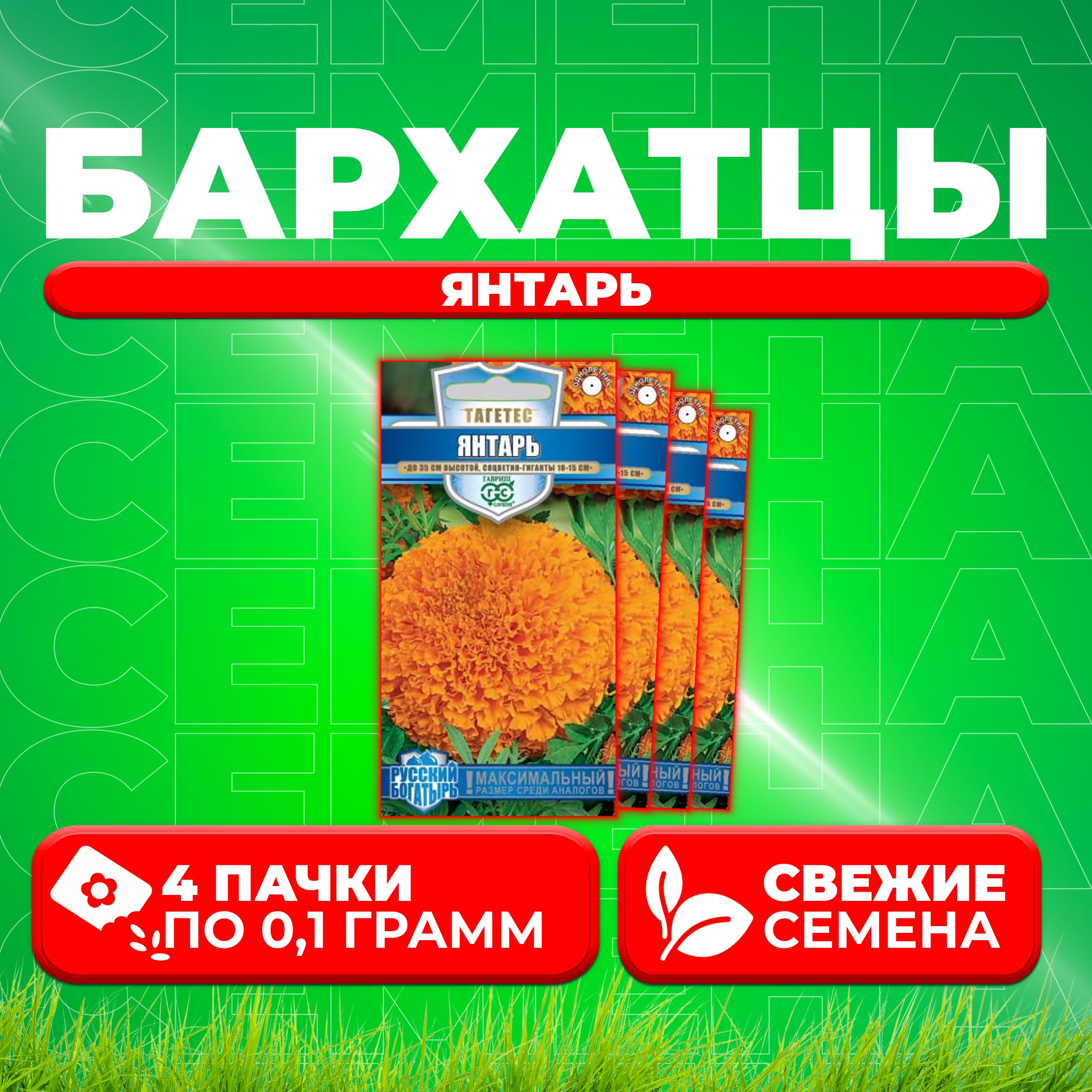 

Семена Бархатцы прямостоячие тагетес Янтарь, 0,1г, Гавриш, Русский богатырь 4 уп