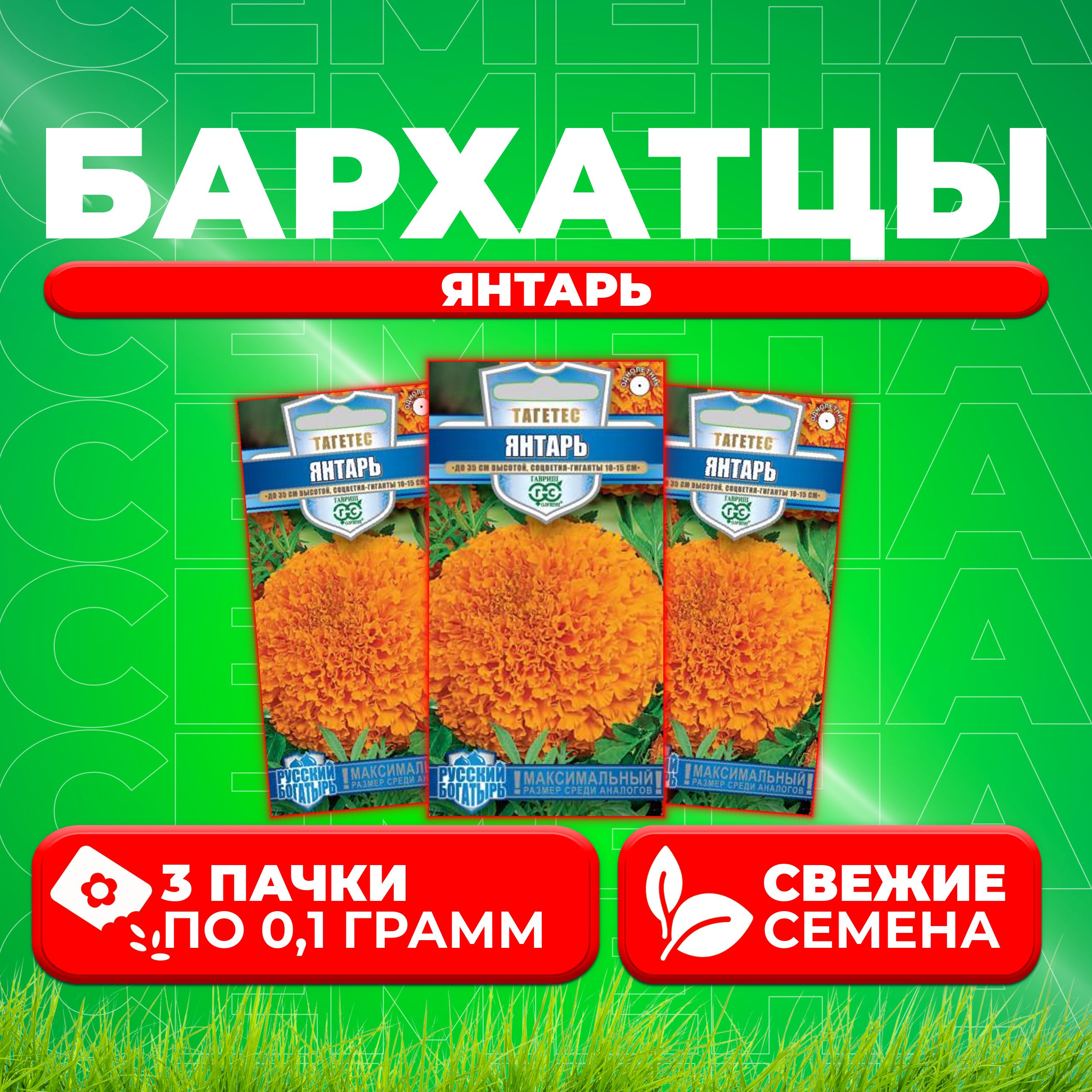 

Семена Бархатцы прямостоячие тагетес Янтарь, 0,1г, Гавриш, Русский богатырь 3 уп