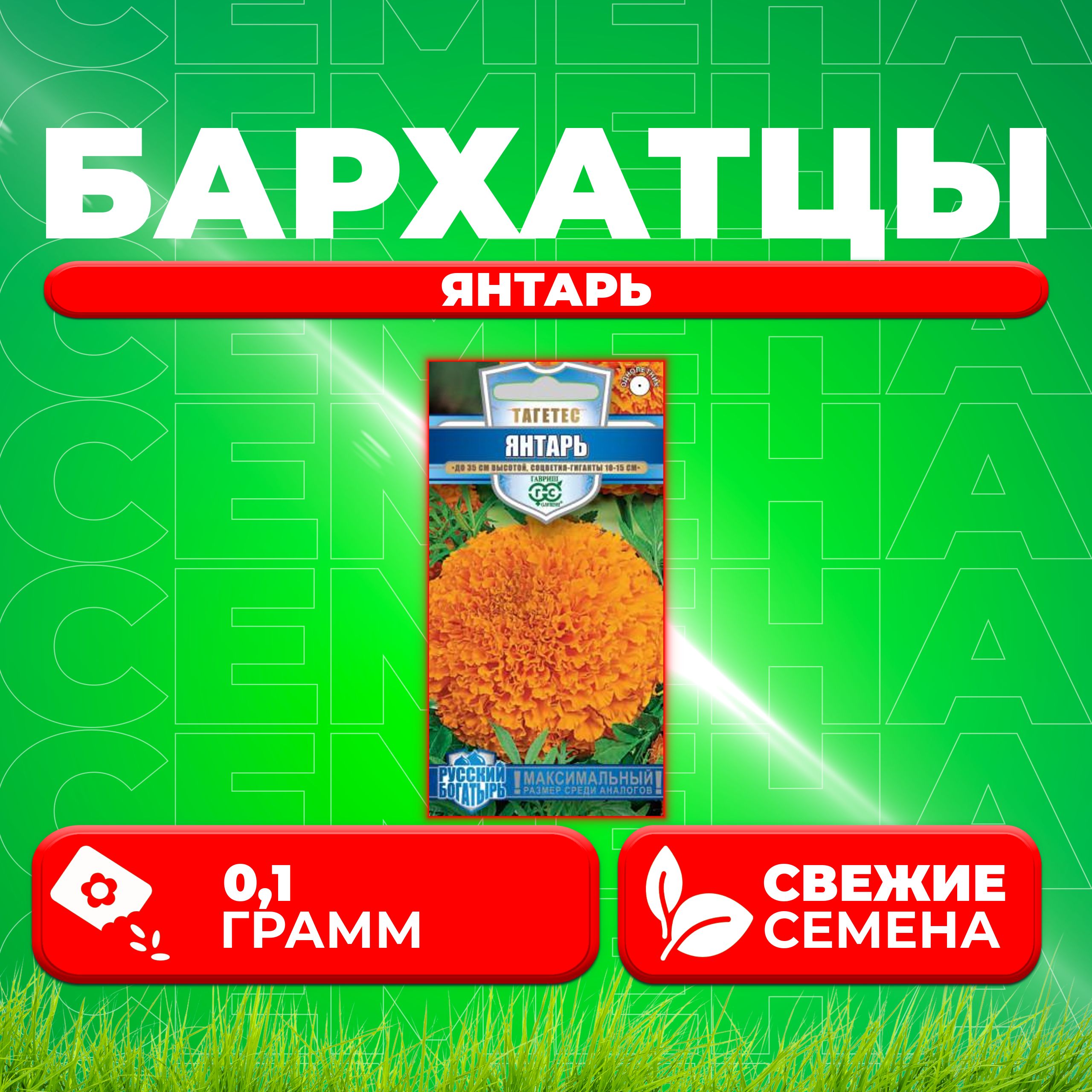 

Семена Бархатцы прямостоячие тагетес Янтарь, 0,1г, Гавриш, Русский богатырь 1 уп