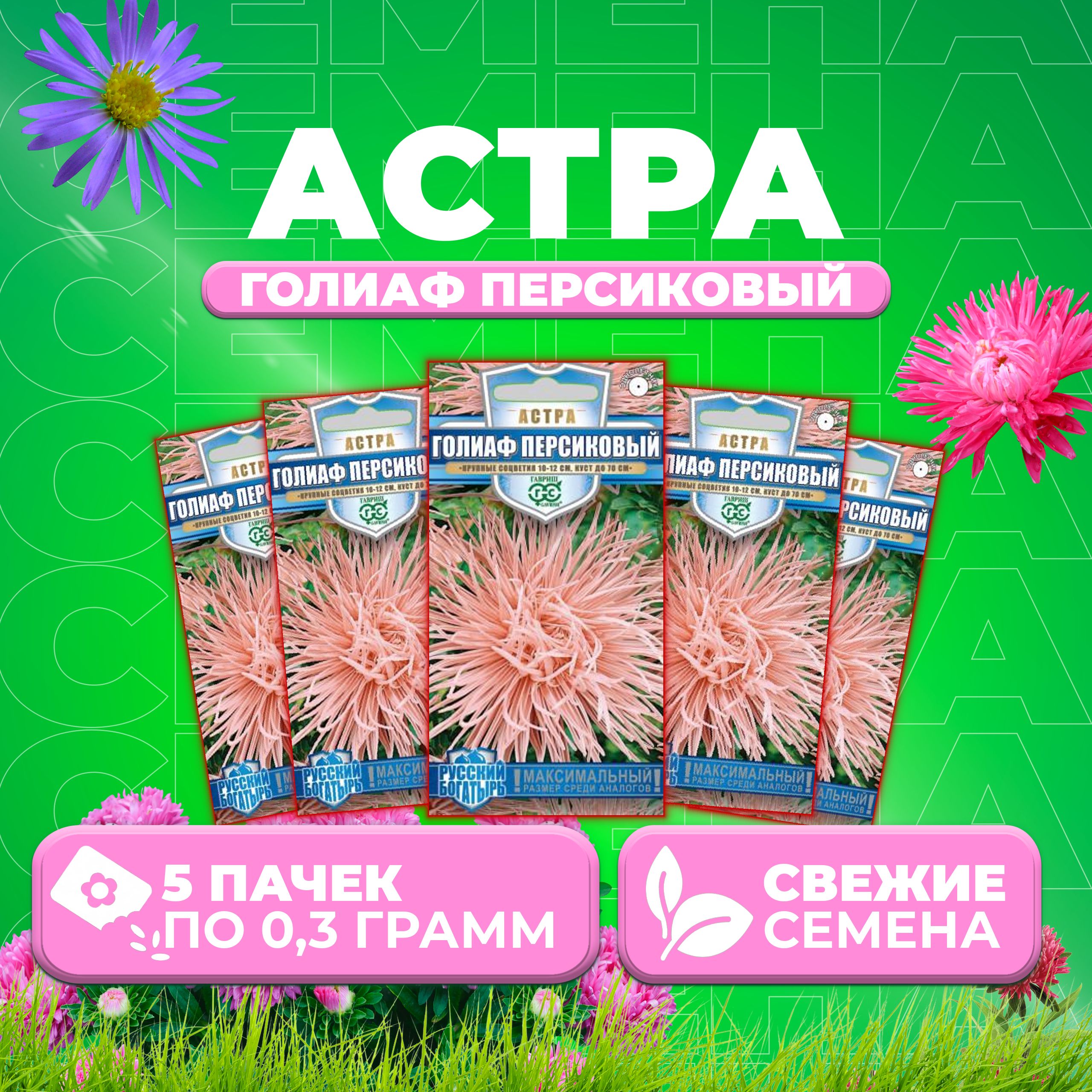 

Семена Астра Голиаф персиковый, игольчатая, 0,3г, Гавриш, Русский богатырь 5 уп