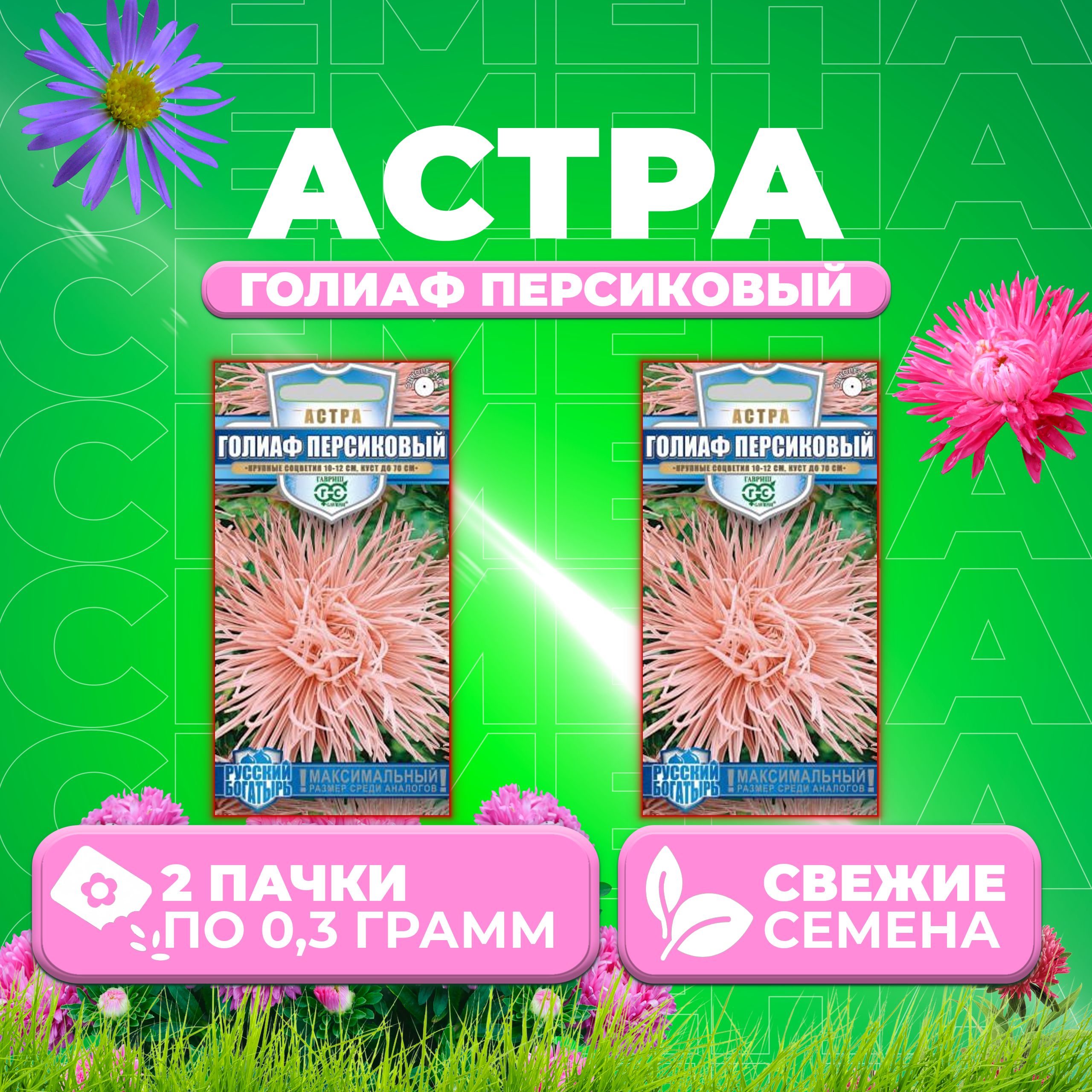 Семена Астра Голиаф персиковый, игольчатая, 0,3г, Гавриш, Русский богатырь 2 уп