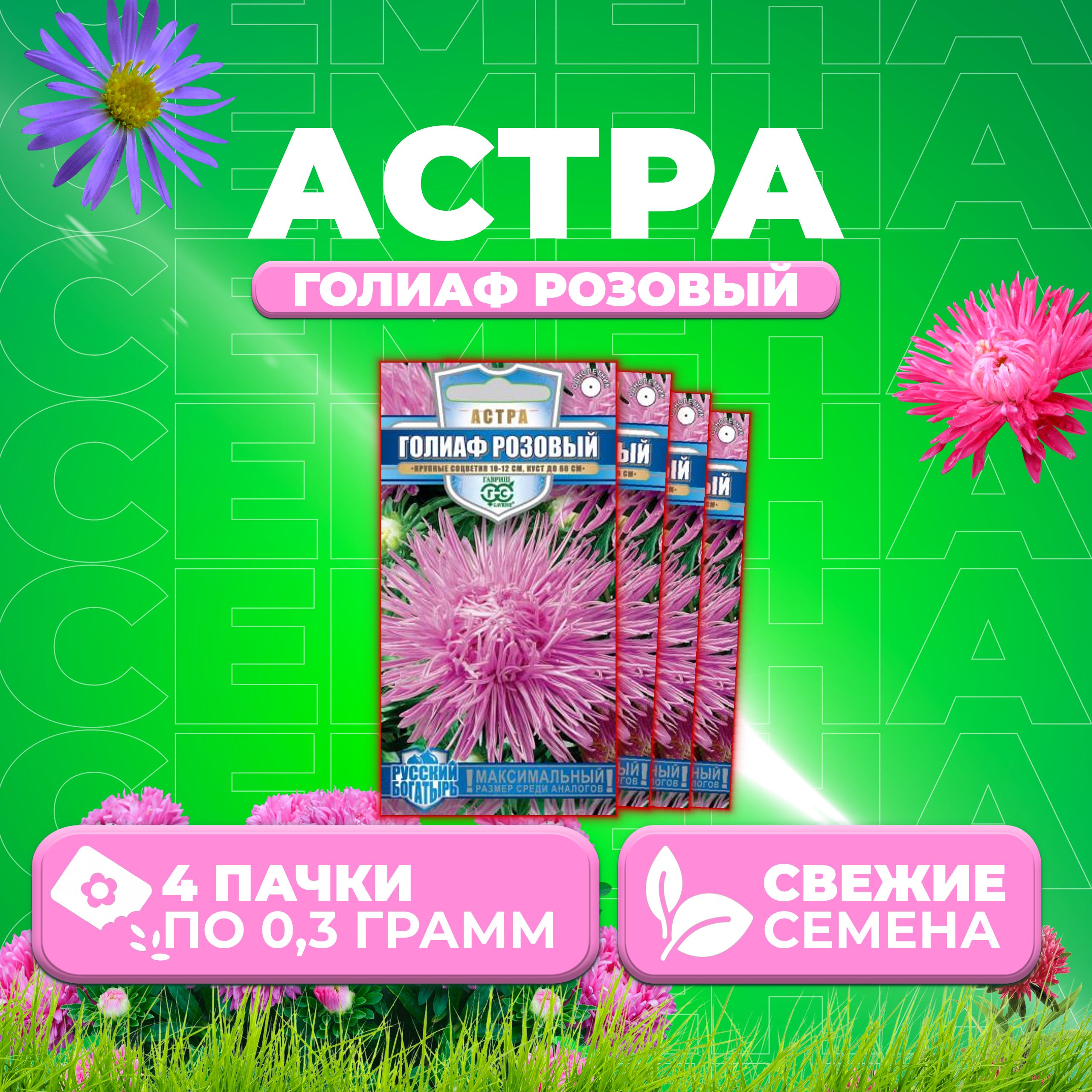 

Семена Астра Голиаф розовый, игольчатая, 0,3г, Гавриш, Русский богатырь 4 уп